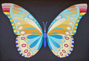 Insect