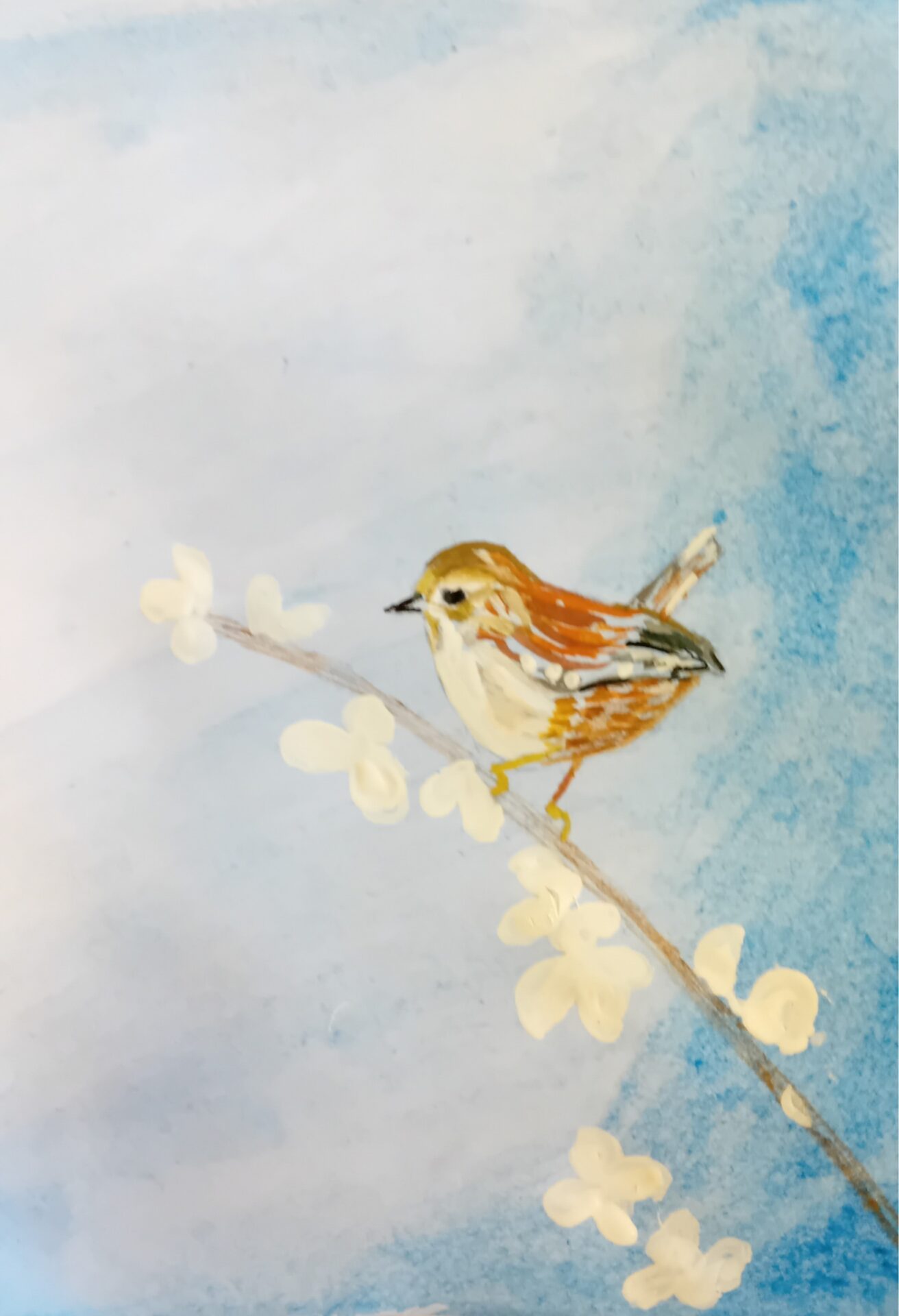 Birds 5