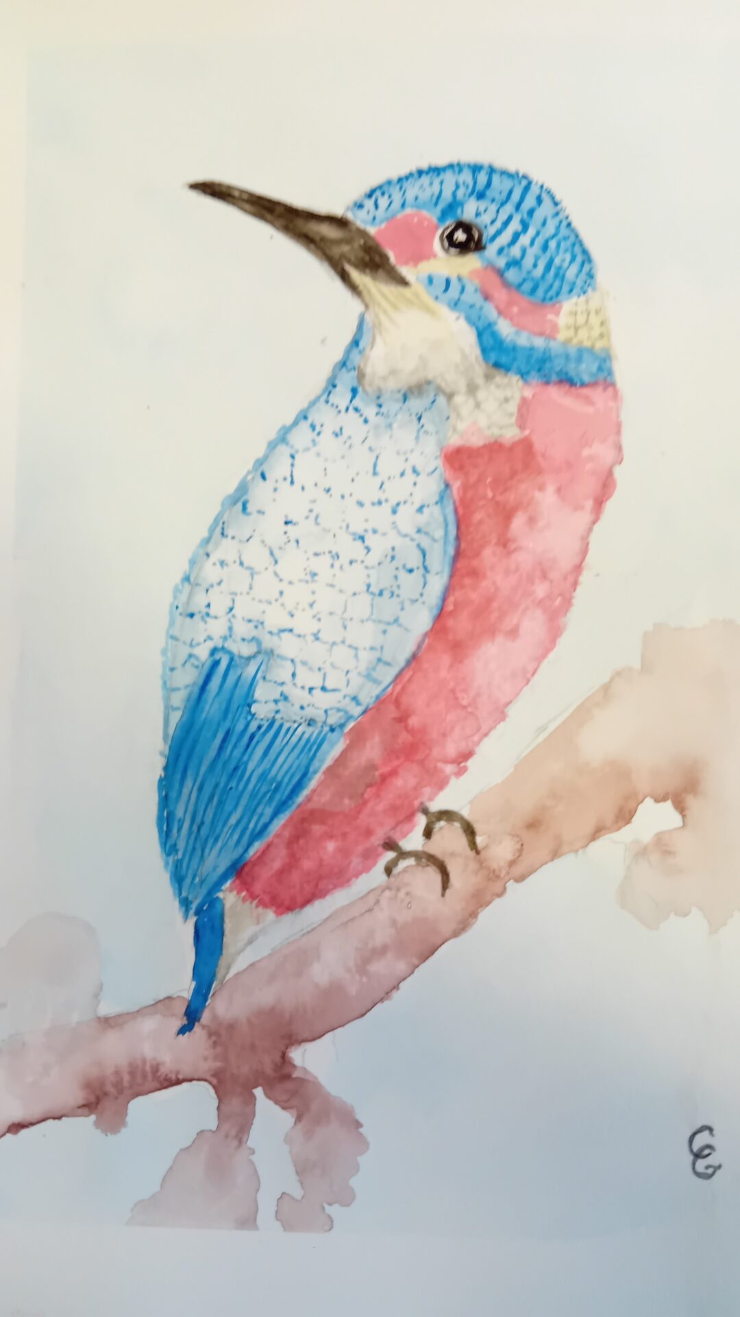 Birds 7