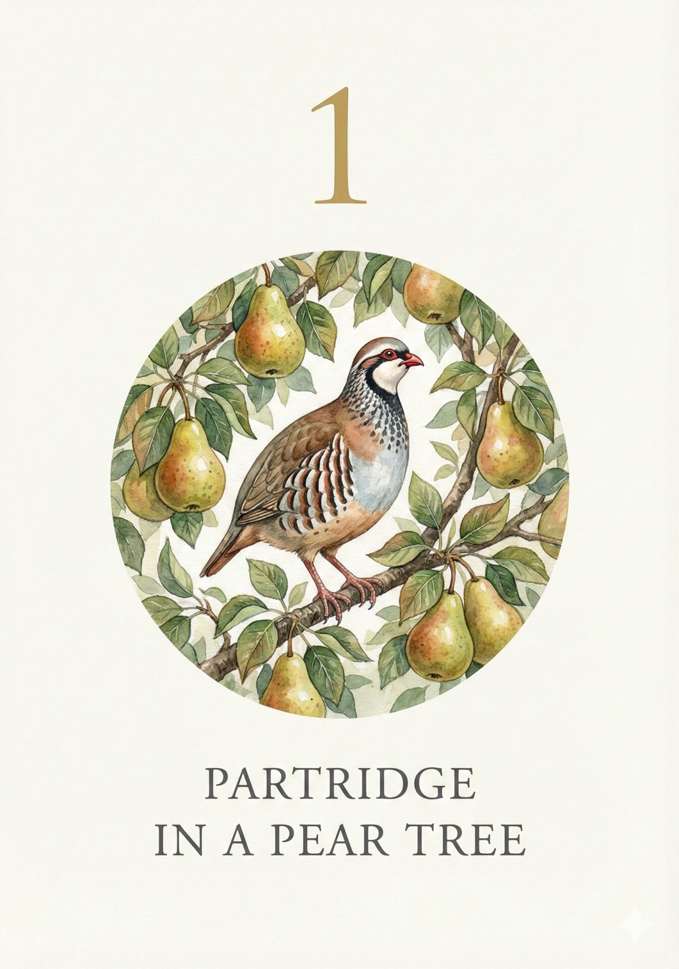 Gemini_1 Partridge