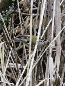 November 2024 Trip - Sandy