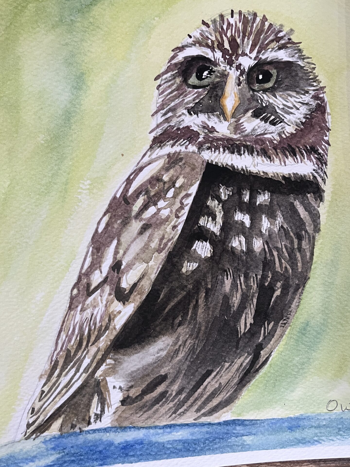 JohnJamesAudubon1
