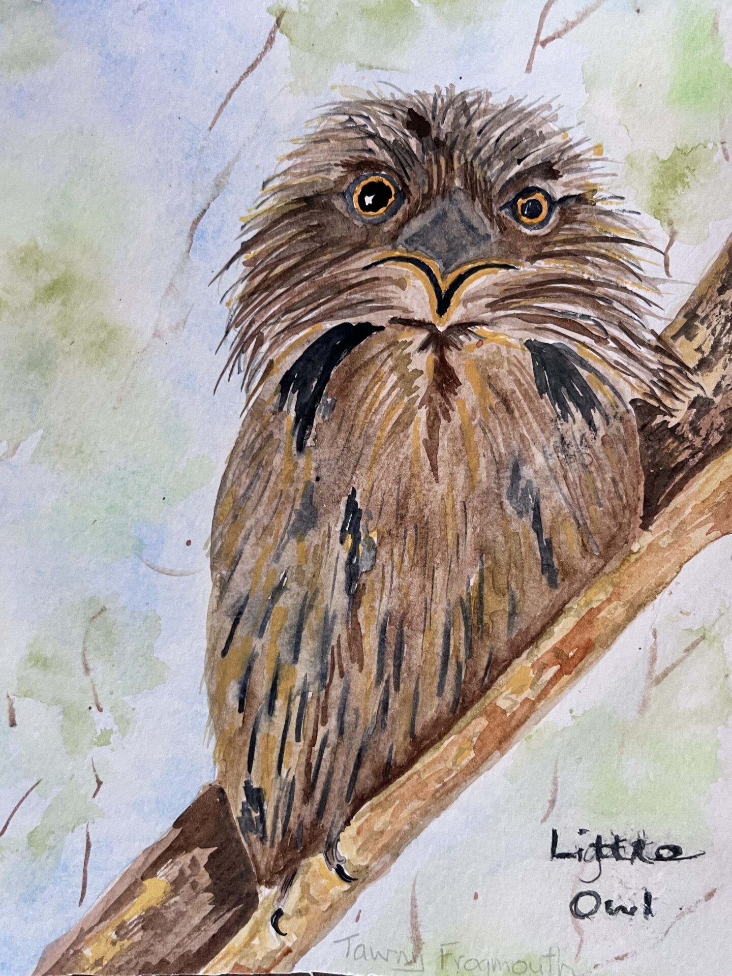 JohnJamesAudubon2
