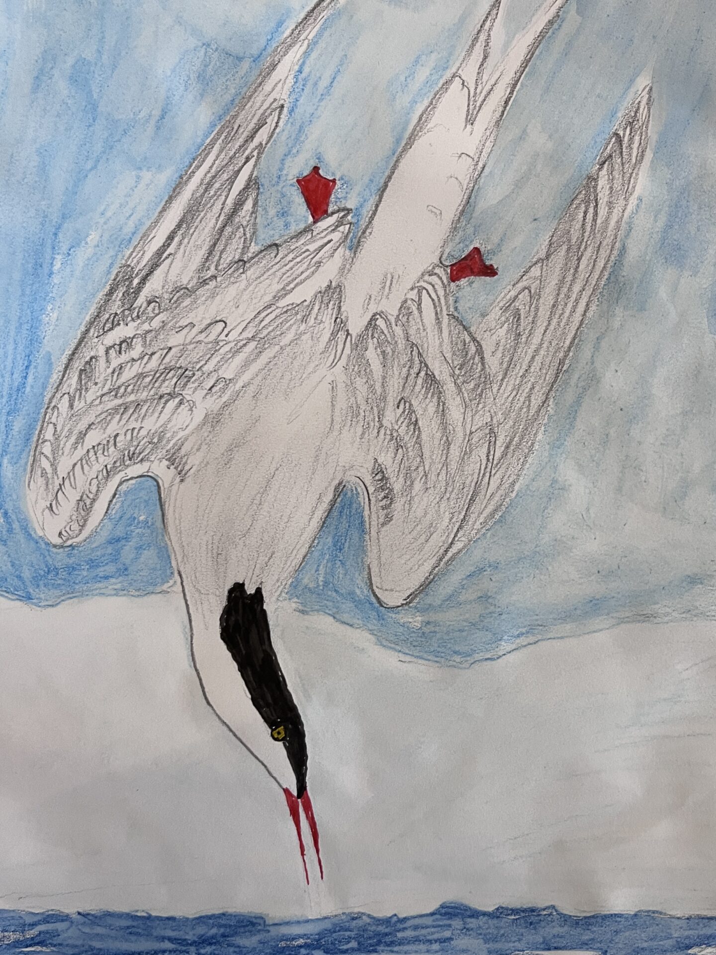 JohnJamesAudubon3