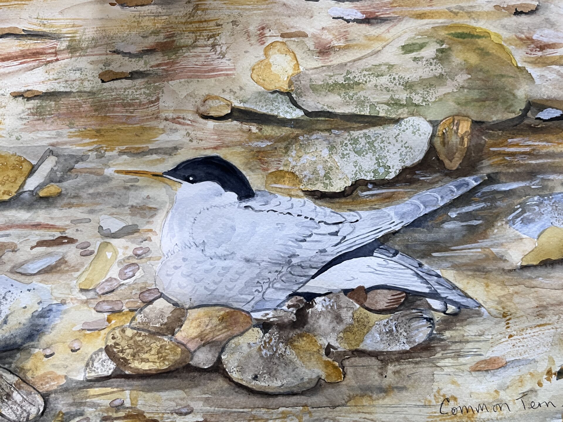 JohnJamesAudubon4