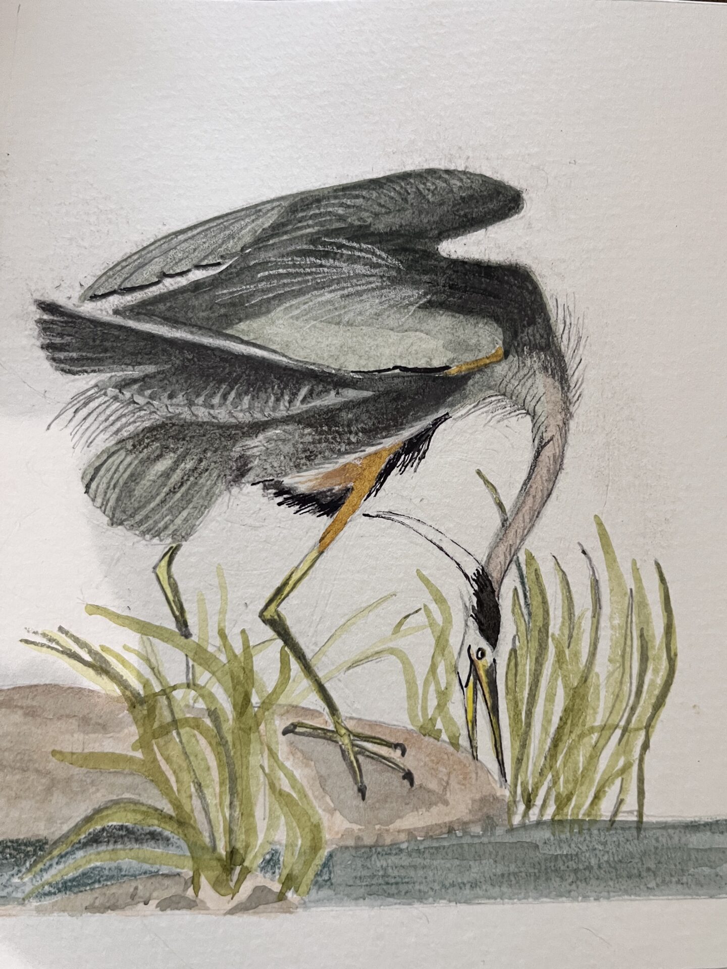 JohnJamesAudubon5