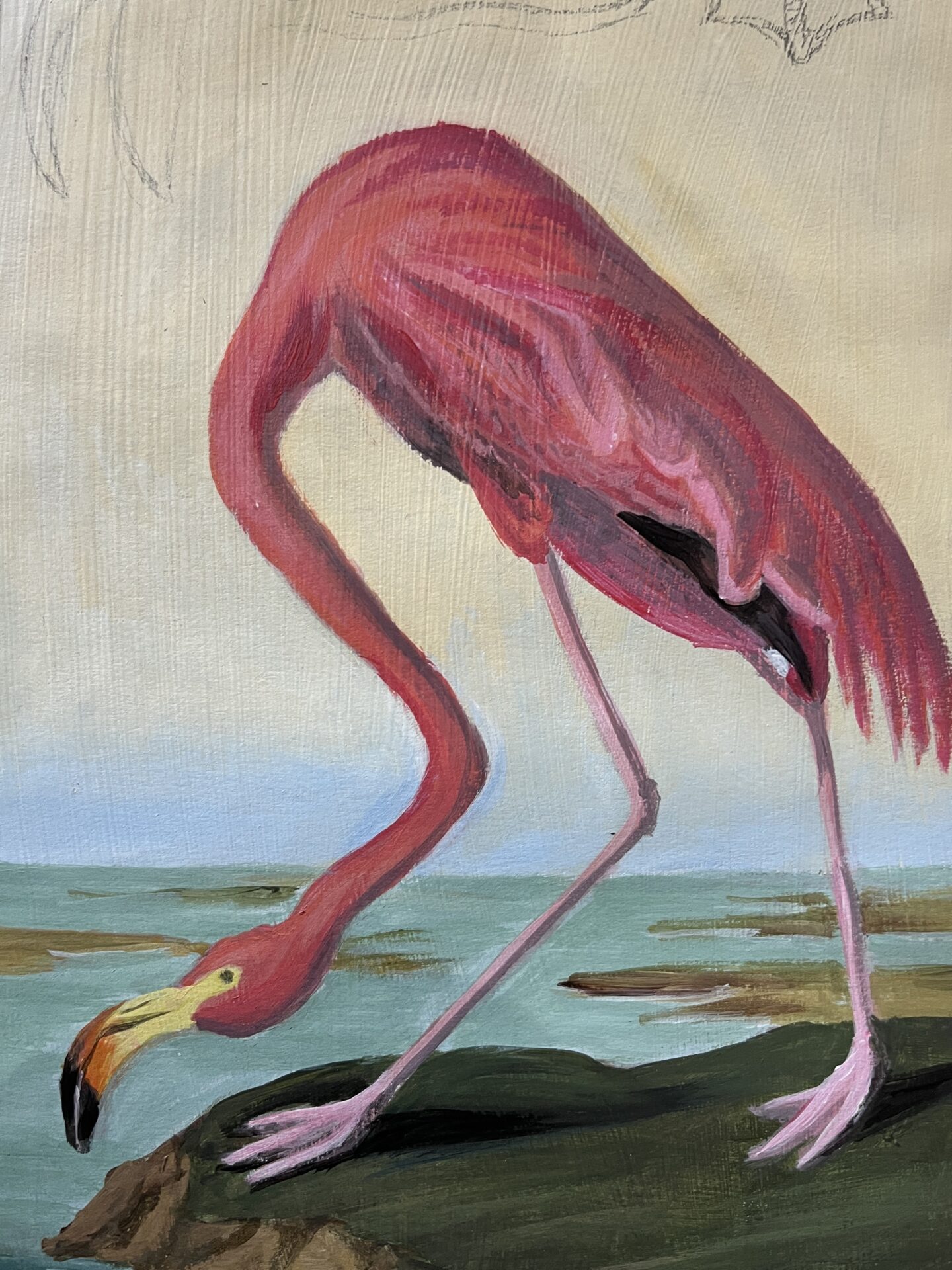JohnJamesAudubon6