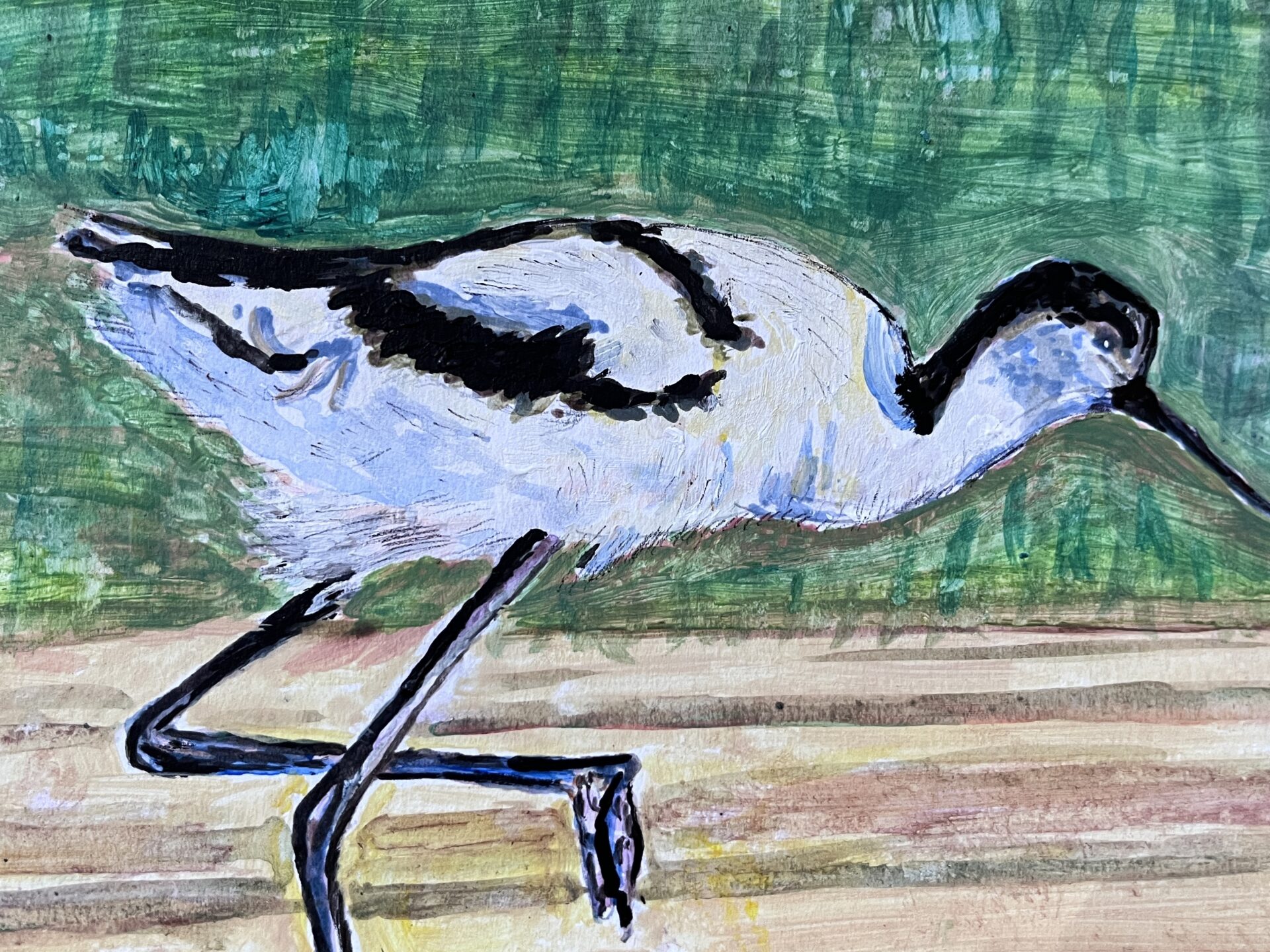 JohnJamesAudubon7