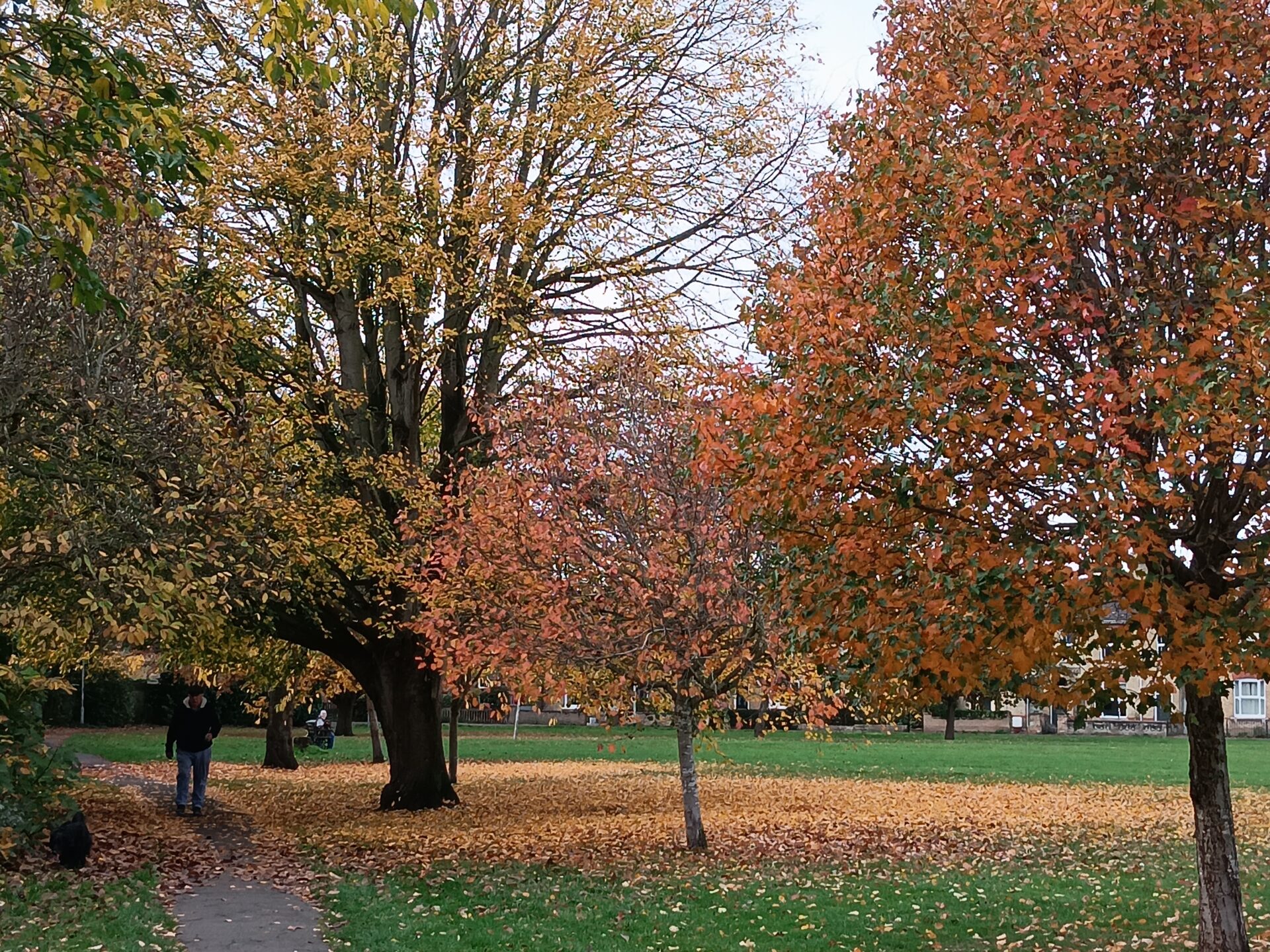 MG Warner's park