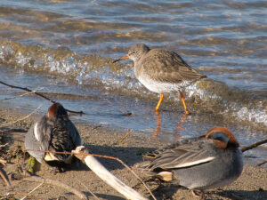 February 2024 Trip - Grafham Water