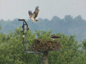 May 2024 Trip - Rutland Water