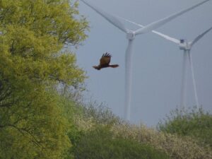 April 2025 Trip - Woodwalton