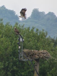 June 2025 Trip - Rutland Water