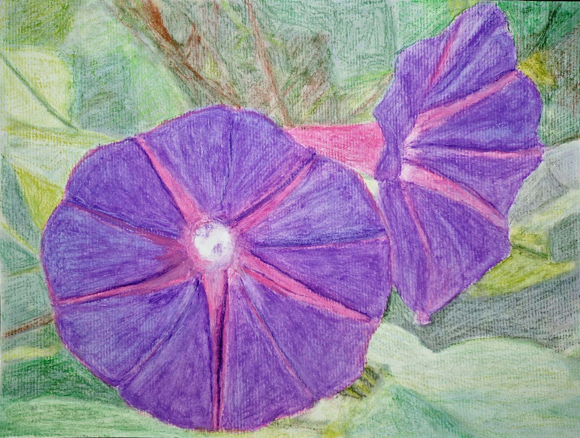 Patterns in Nature 3