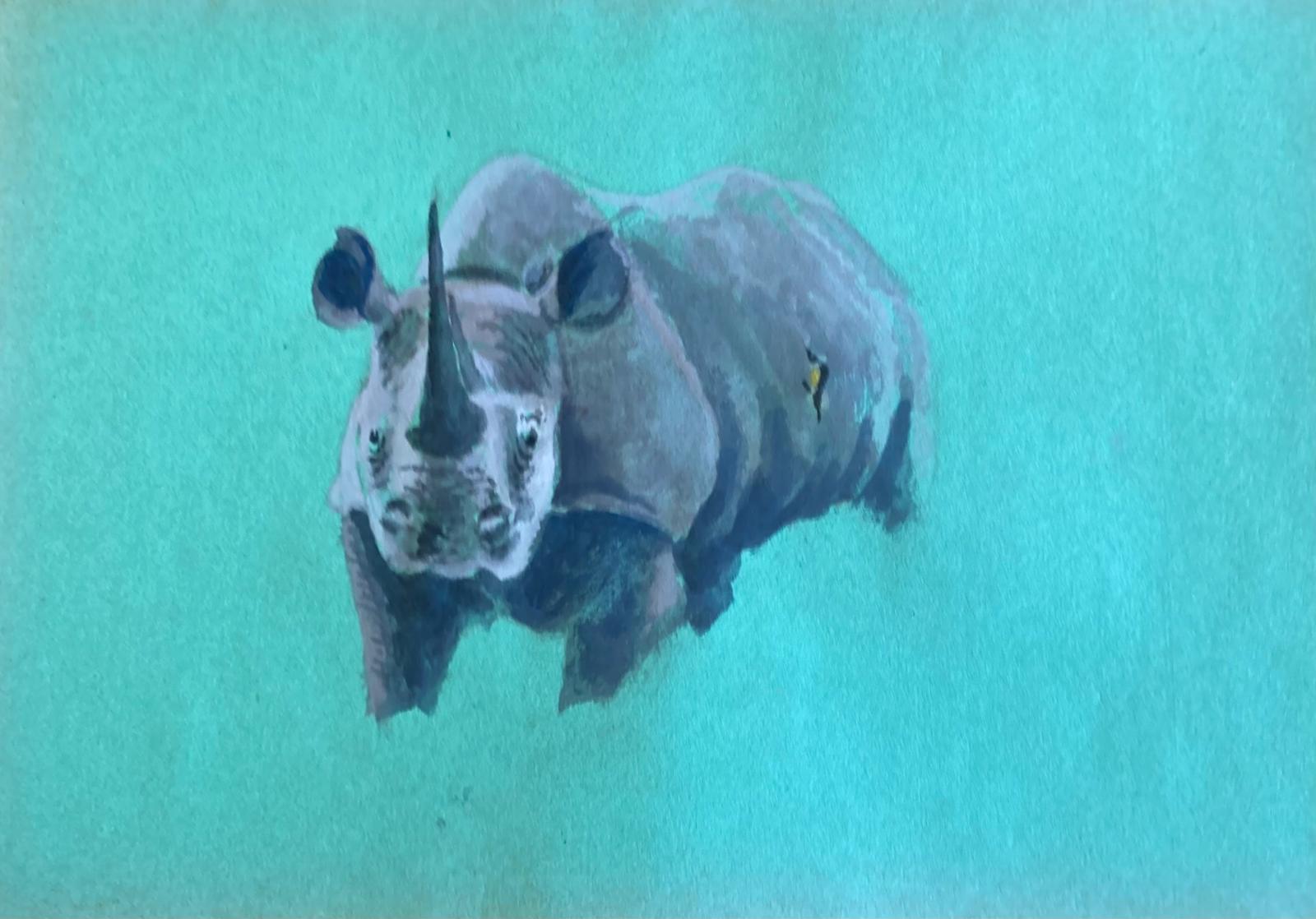 Safari Animals 14