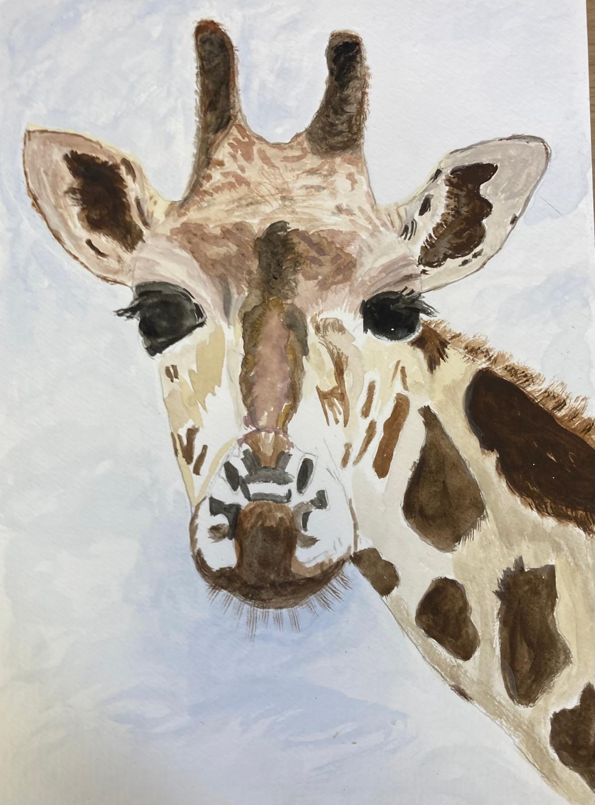 Safari Animals 17