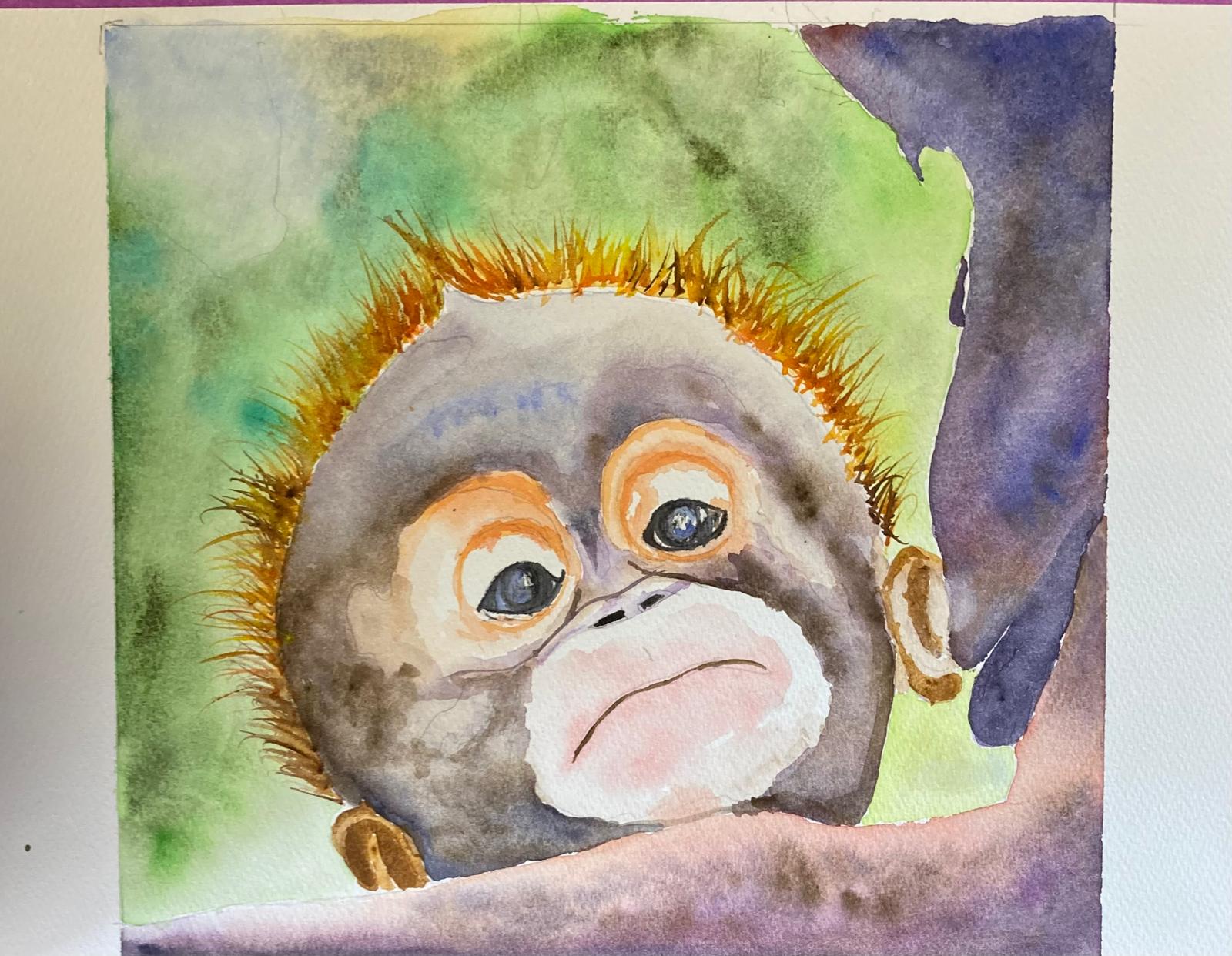 Safari Animals 19