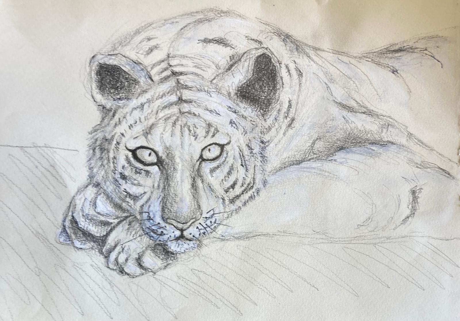 Safari Animals 2