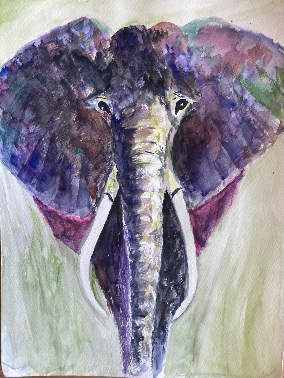 Safari Animals 3