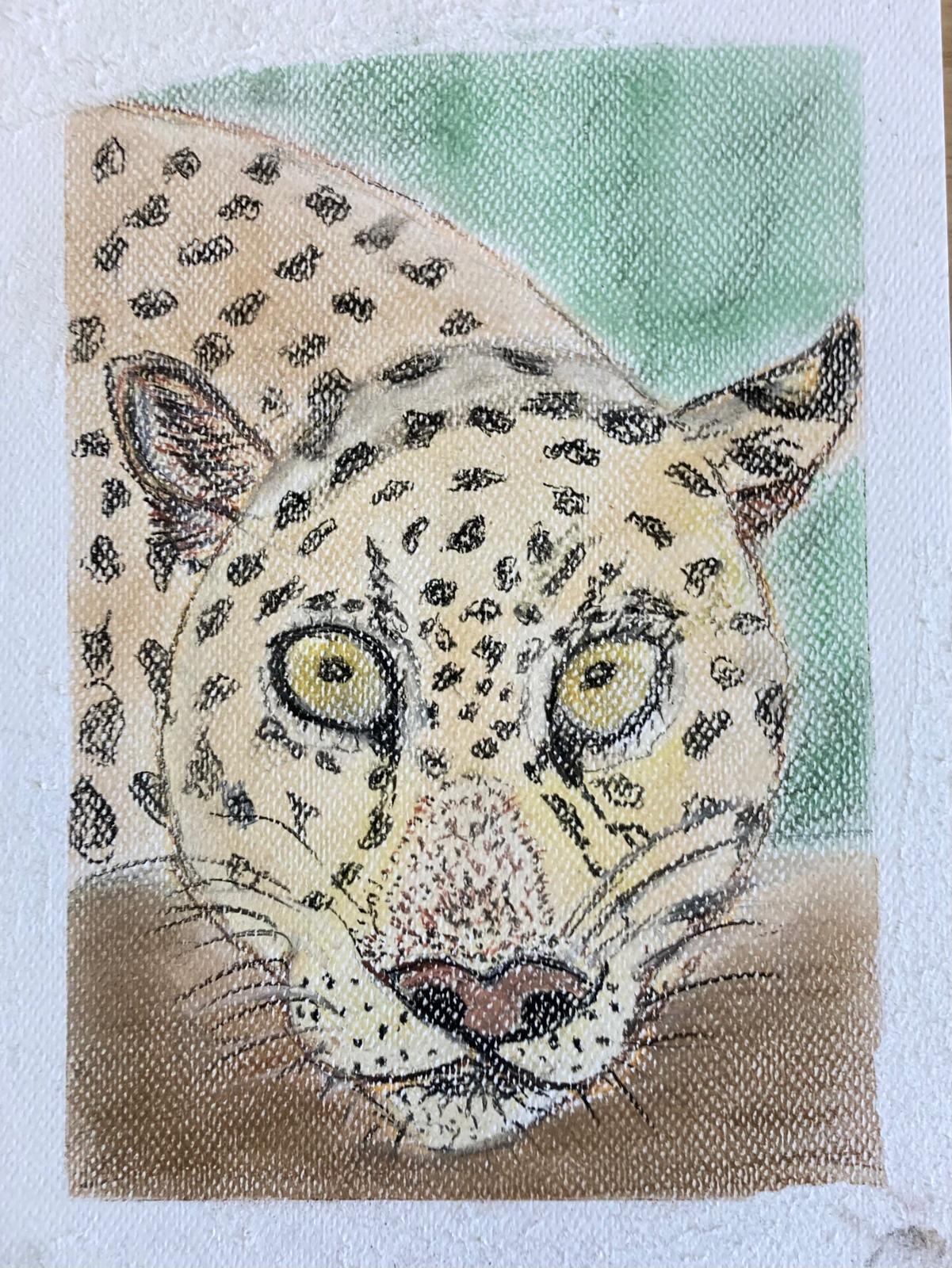 Safari Animals 5