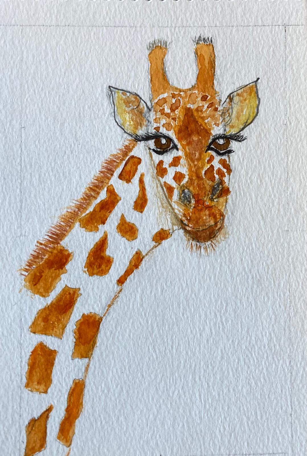 Safari Animals 6