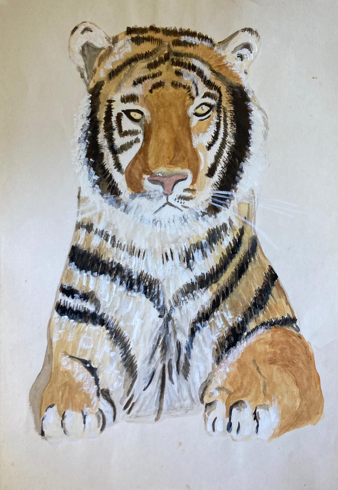 Safari Animals 8
