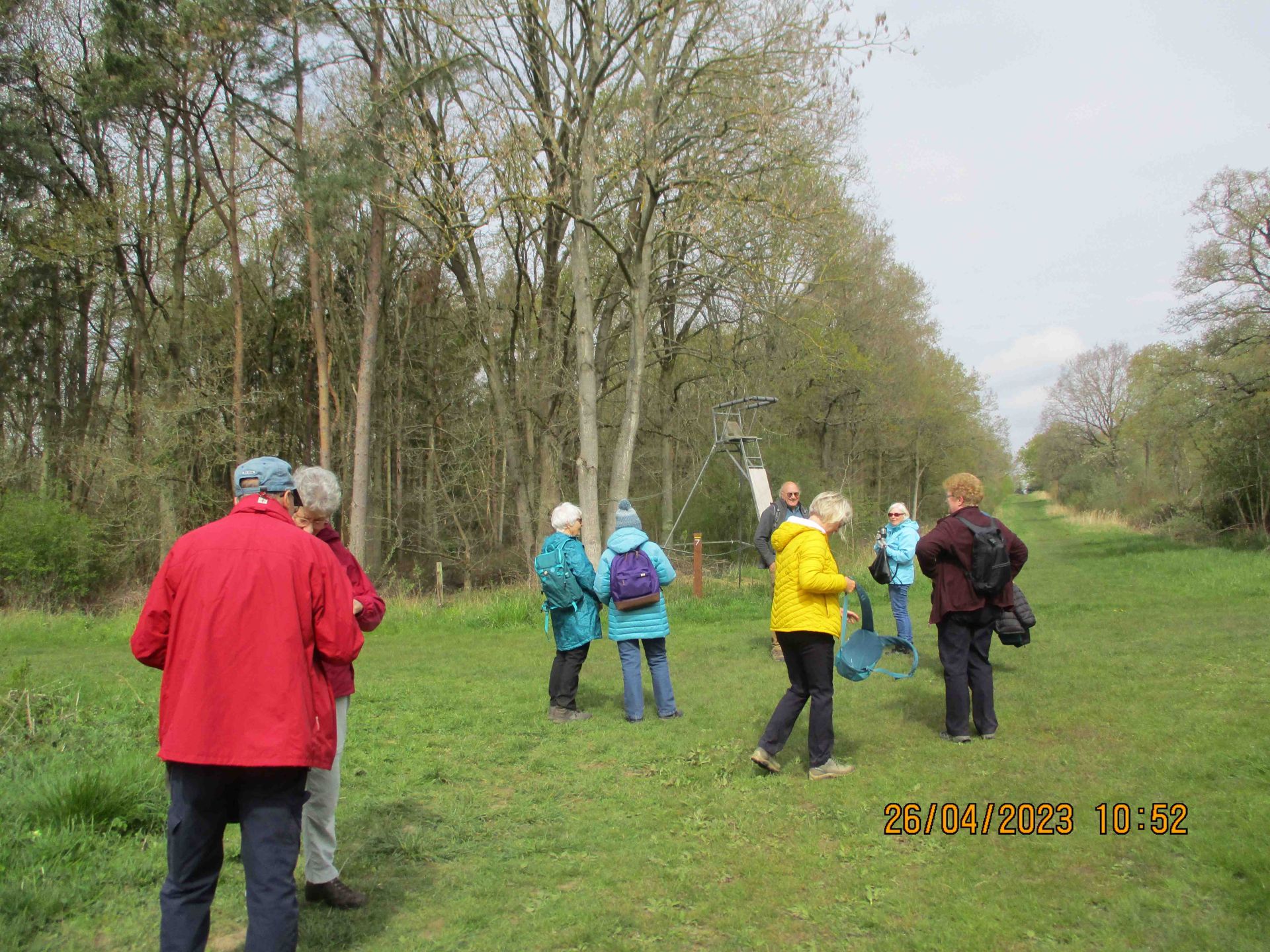 up the hill to bluebells