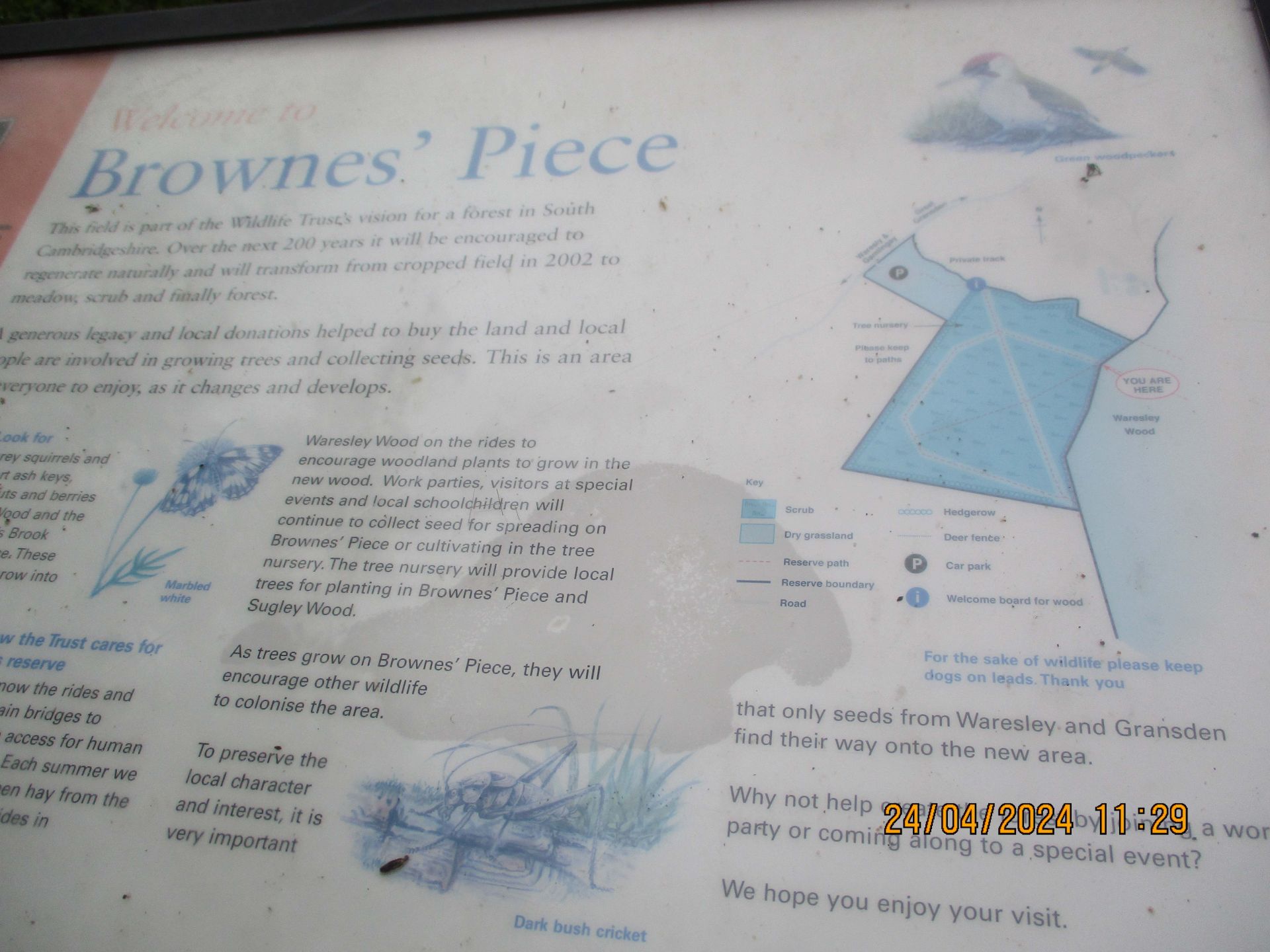 Brown's Piece