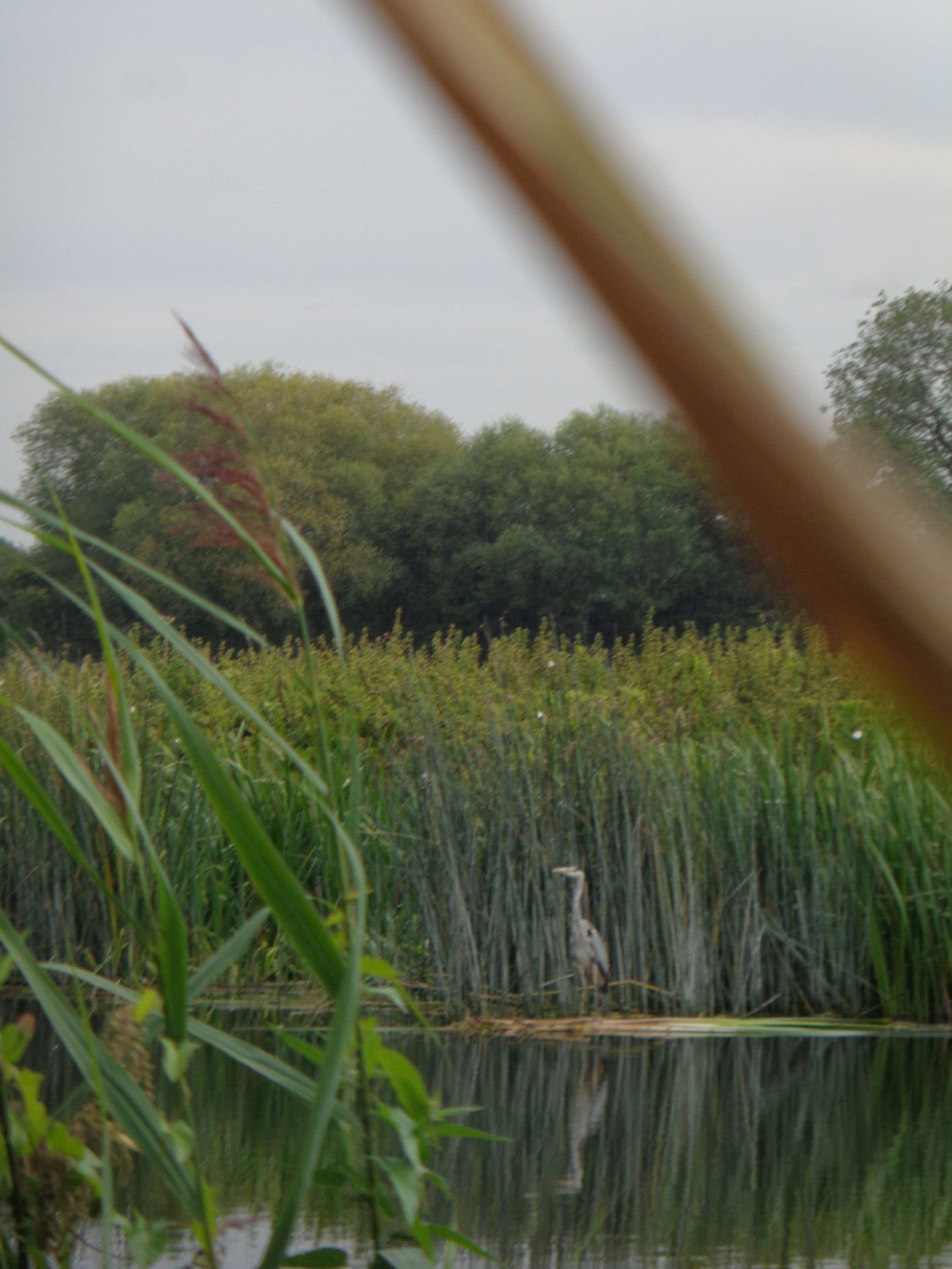 august 24 walk 3