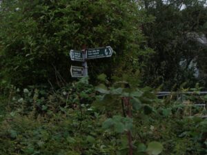 Aug 2024 Photos