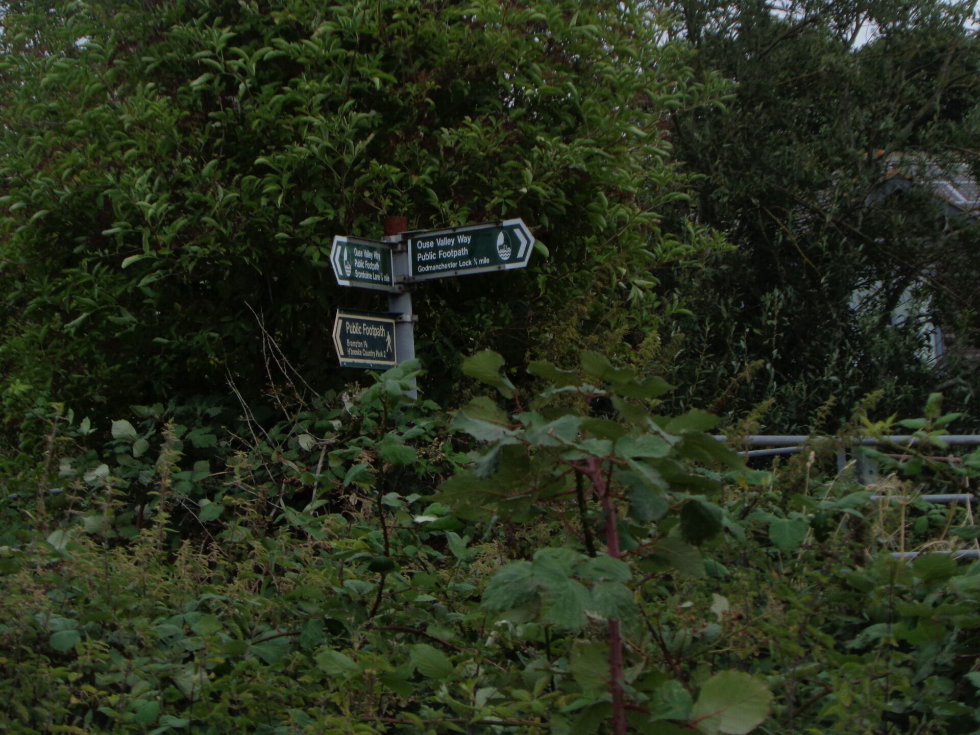 august 24 walk 6
