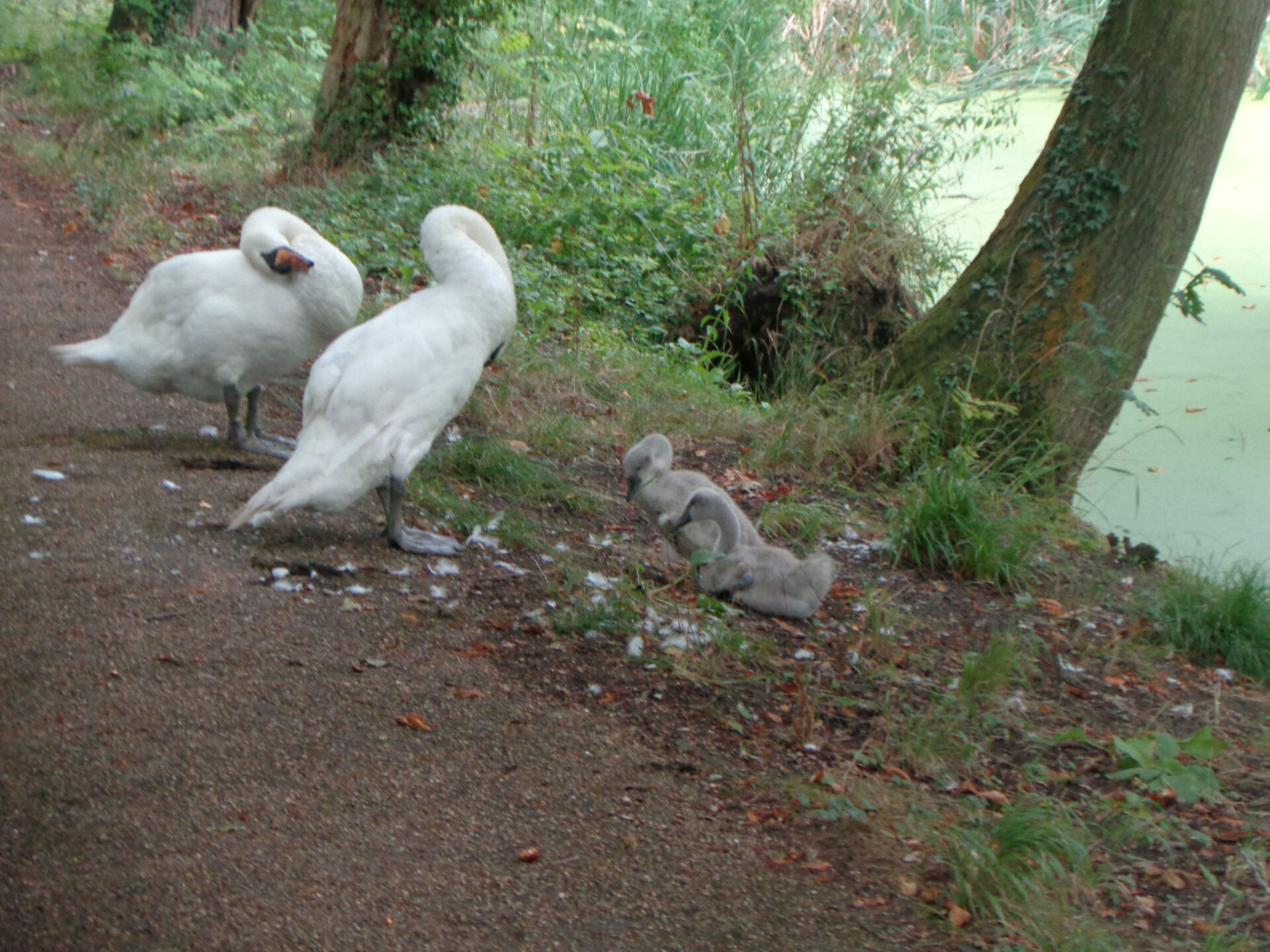 august 24 walk 9