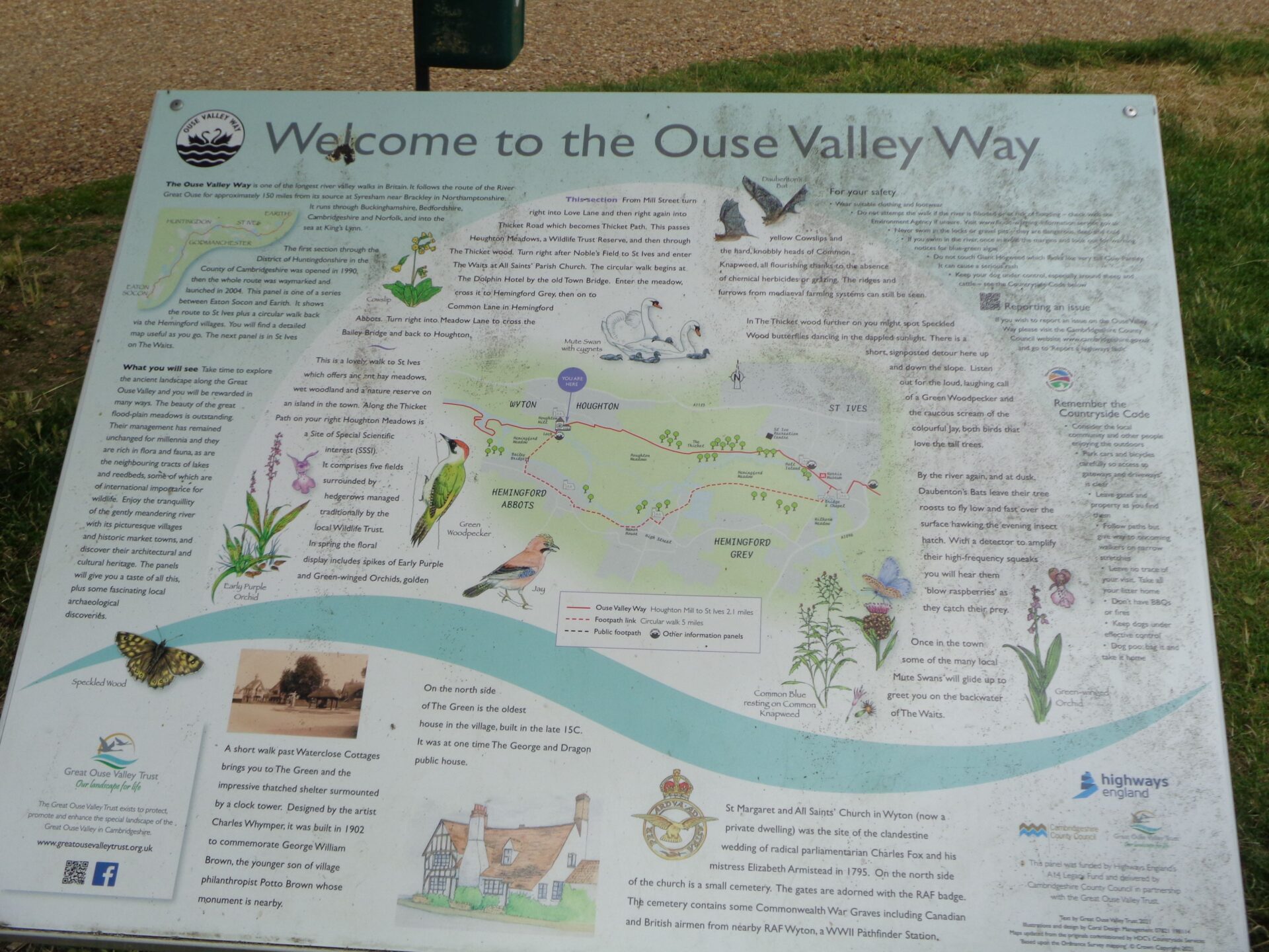 july 24 walk 1
