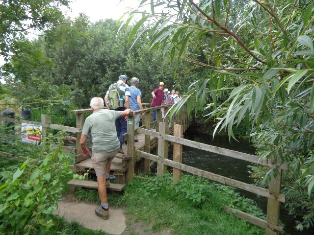 july 24 walk 2