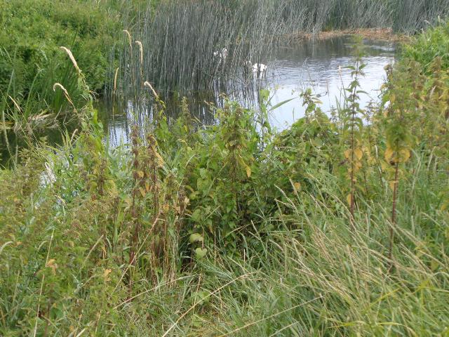 july 24 walk 5