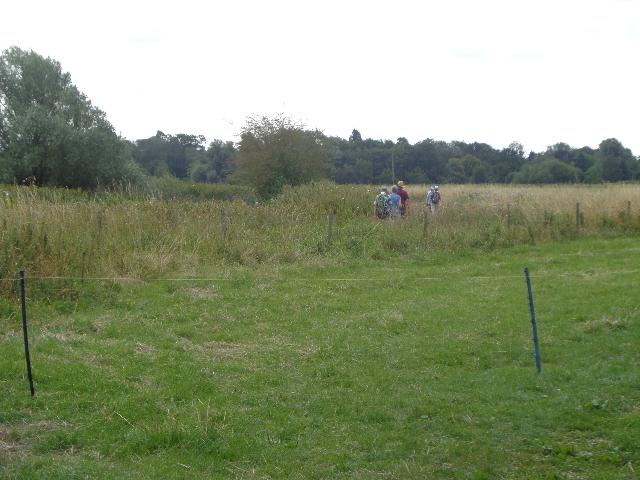 july 24 walk 6