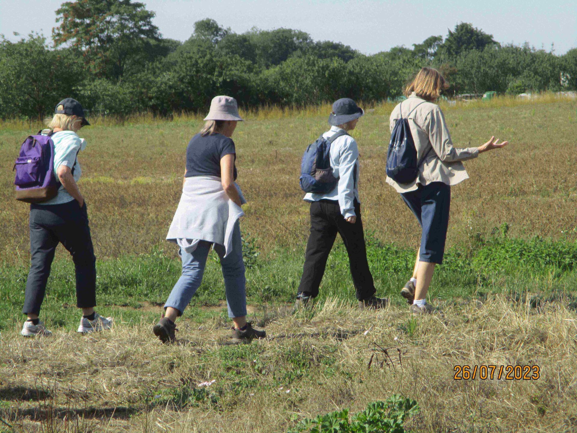 walkers