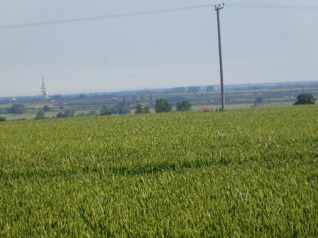 Good view of water tower and mast at Over