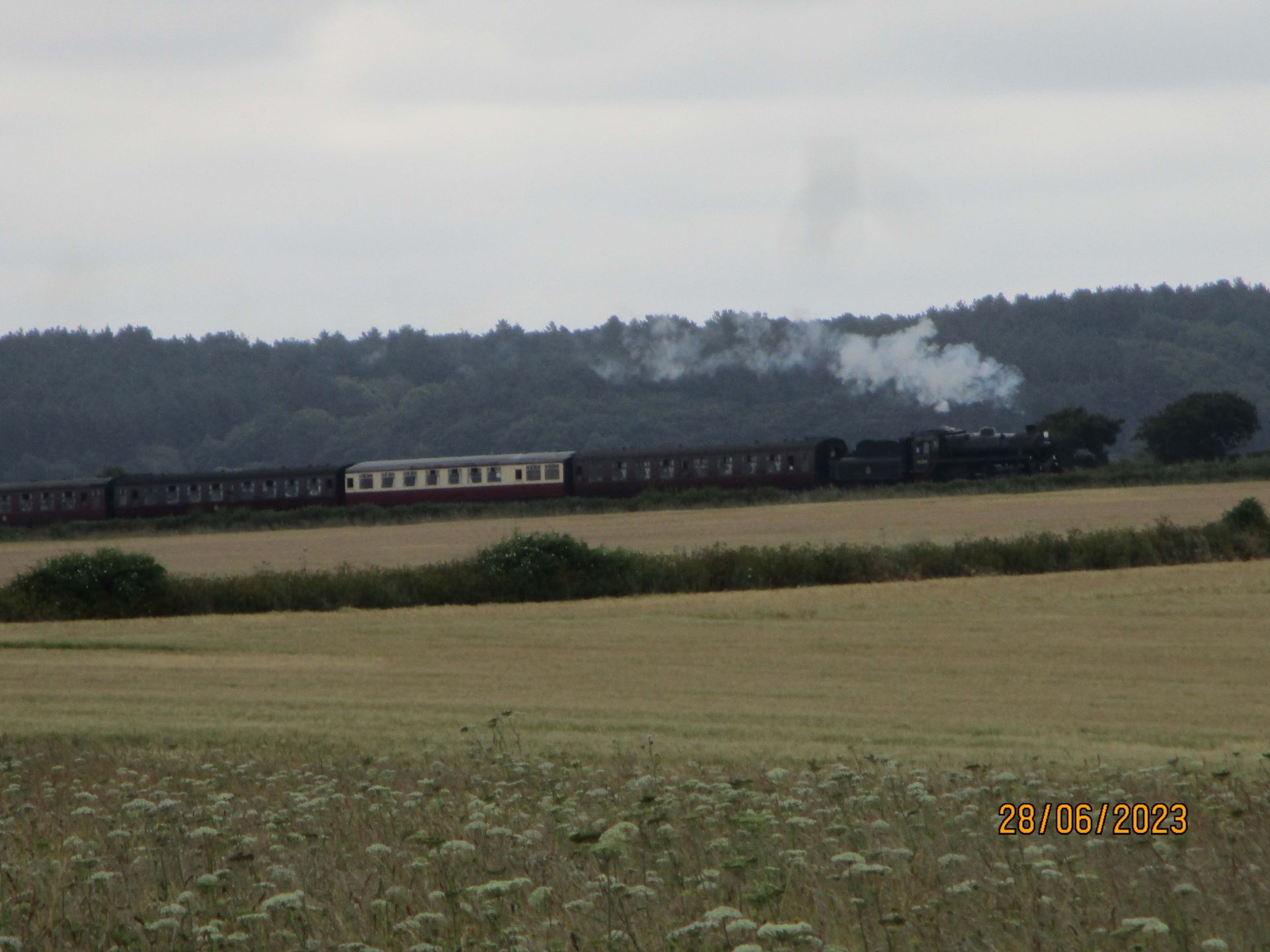 Train in full steam