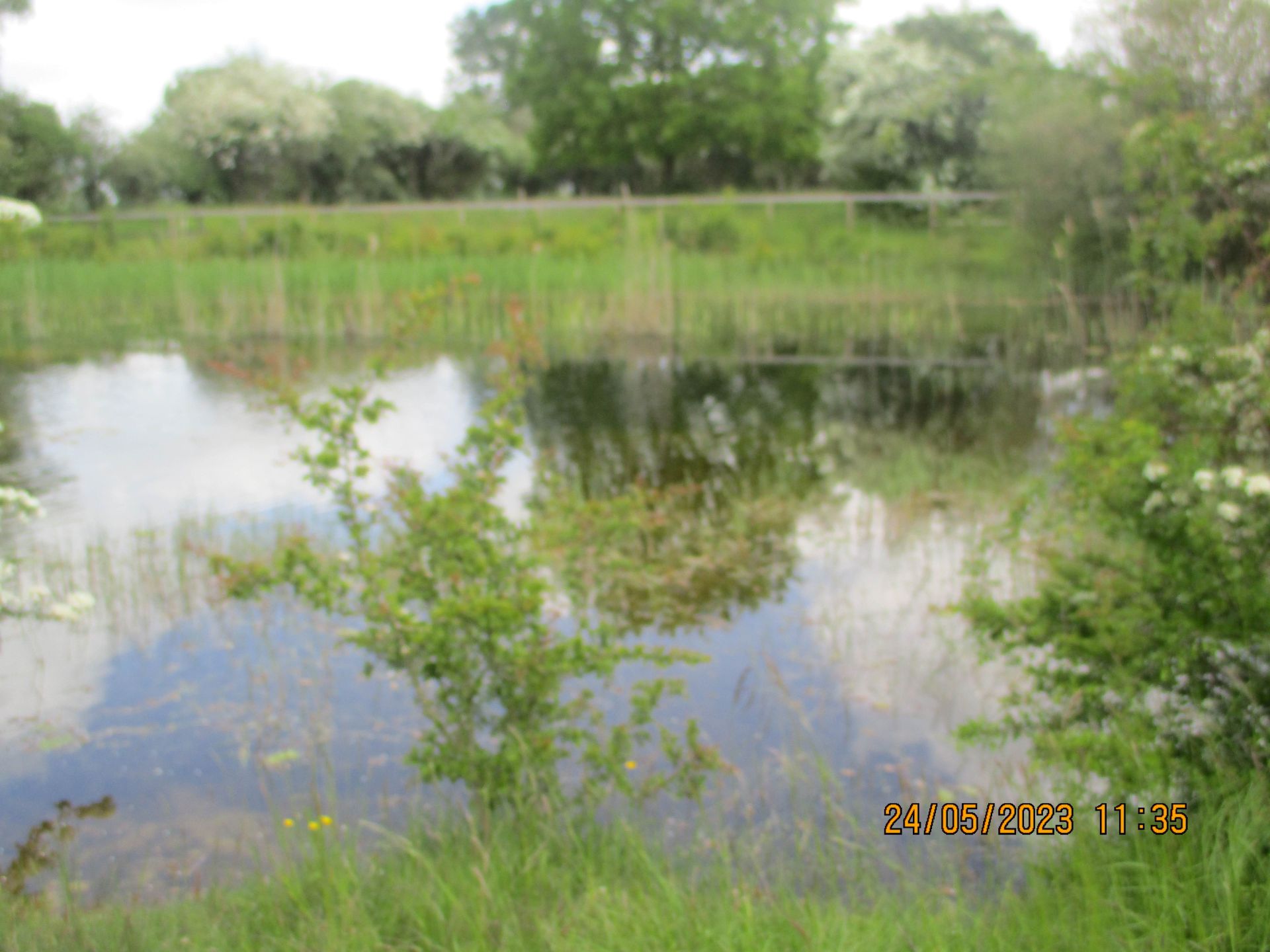 Lake in fen