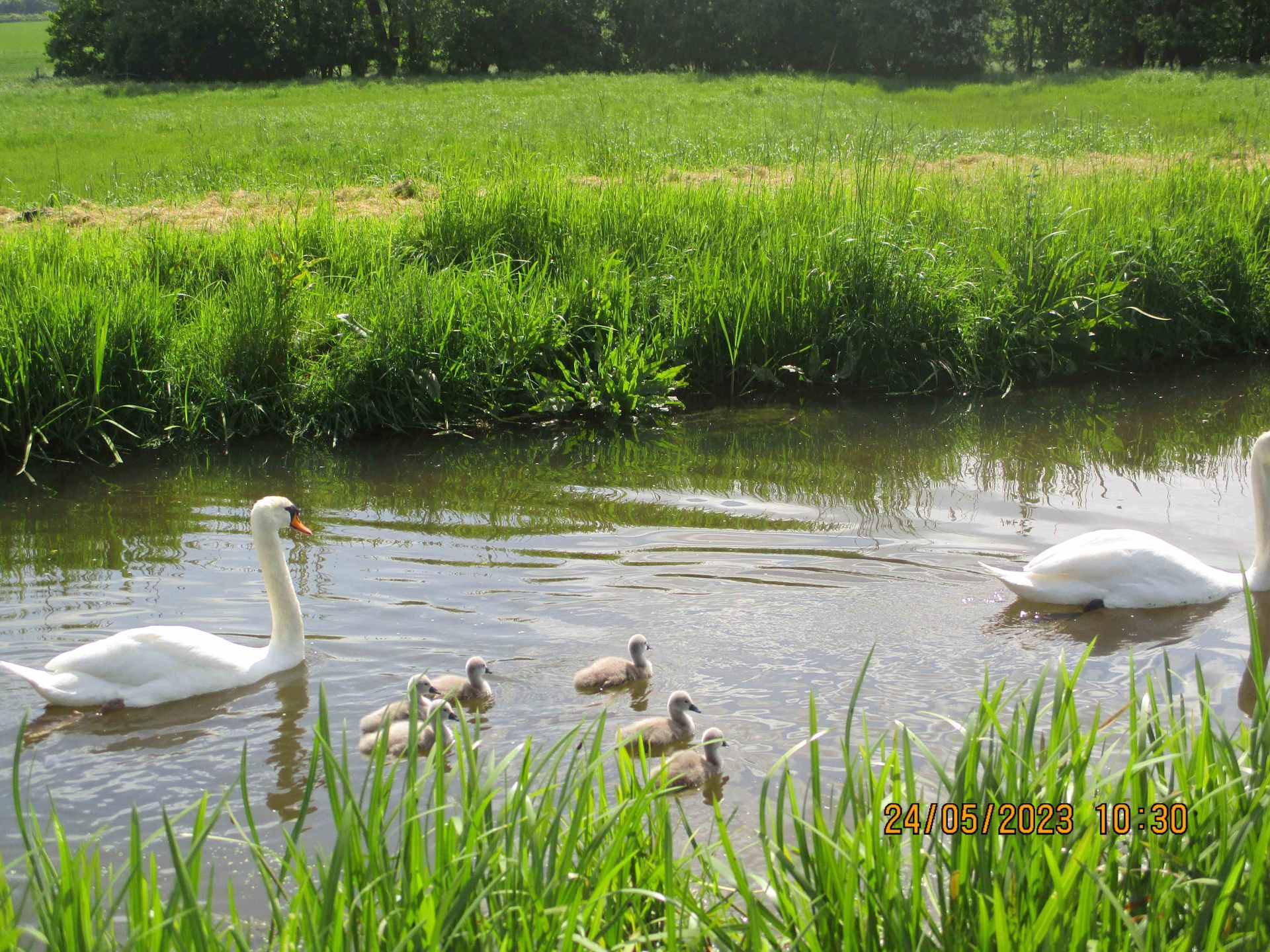 Family outing